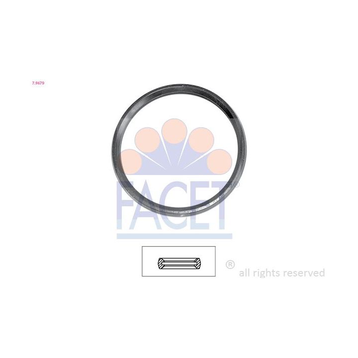 Tarpiklis, termostatas FACET 7.9679