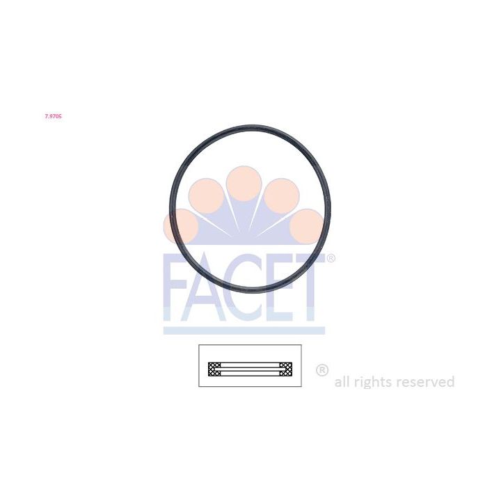 Tarpiklis, termostatas FACET 7.9705