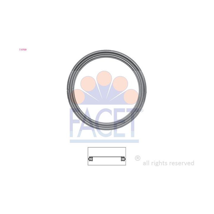 Tarpiklis, termostatas FACET 7.9709