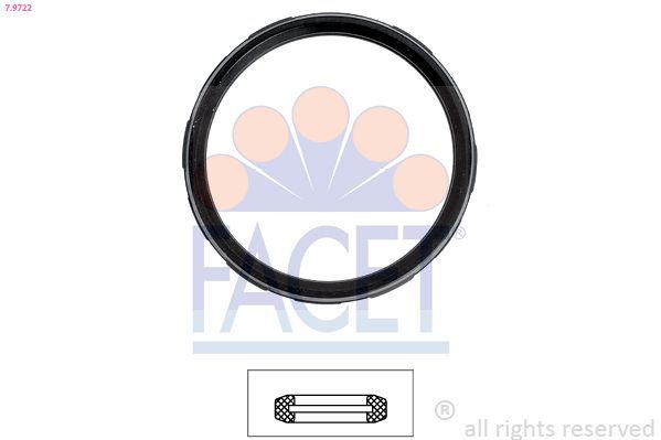 Tarpiklis, termostatas FACET 7.9722
