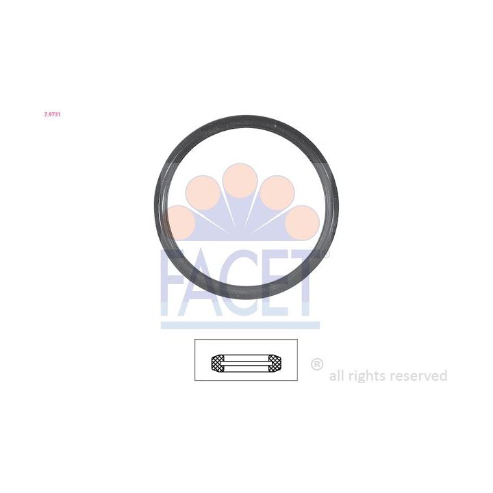 Tarpiklis, termostatas FACET 7.9731