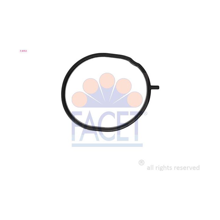 Tarpiklis, termostatas FACET 7.9751