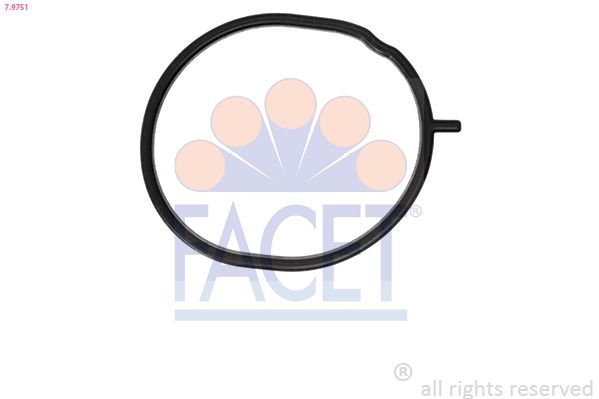 Tarpiklis, termostatas FACET 7.9751