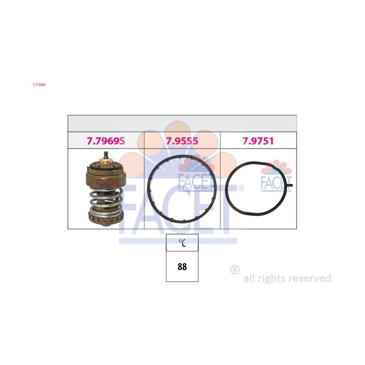 Termostatas, aušinimo skystis FACET 7.7988