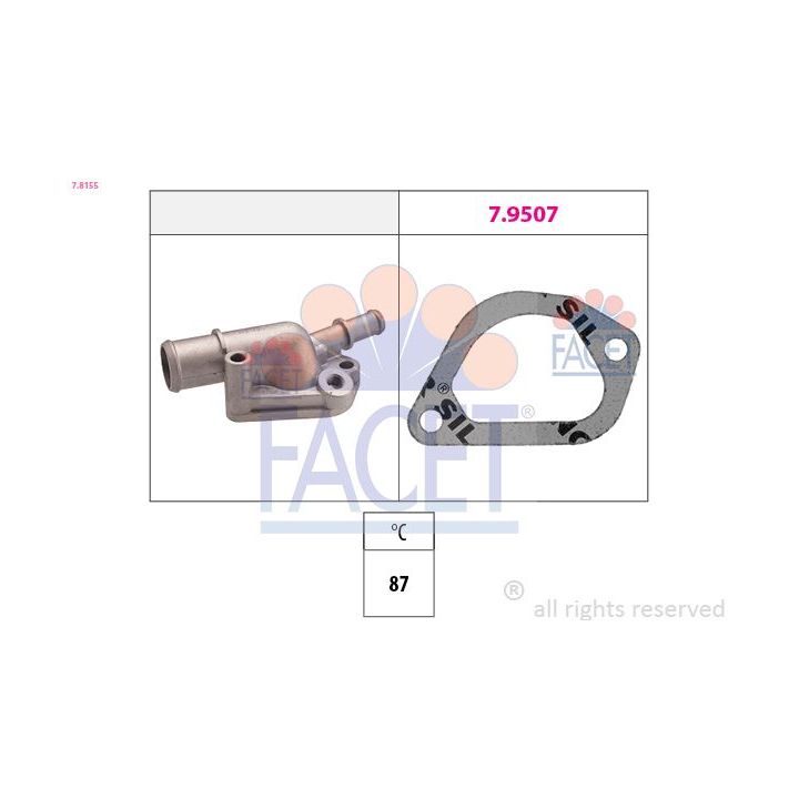 Termostatas, aušinimo skystis FACET 7.8155