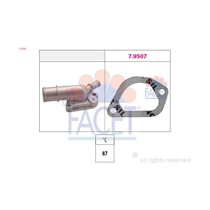 Termostatas, aušinimo skystis FACET 7.8160