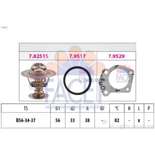 Termostatas, aušinimo skystis FACET 7.8251