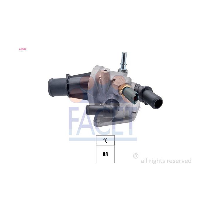Termostatas, aušinimo skystis FACET 7.8580
