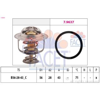 Termostatas, aušinimo skystis FACET 7.8650