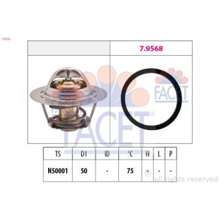 Termostatas, aušinimo skystis FACET 7.8721