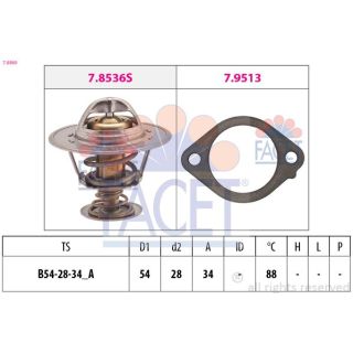 Termostatas, aušinimo skystis FACET 7.8869