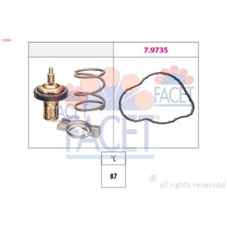Termostatas, aušinimo skystis FACET 7.8930