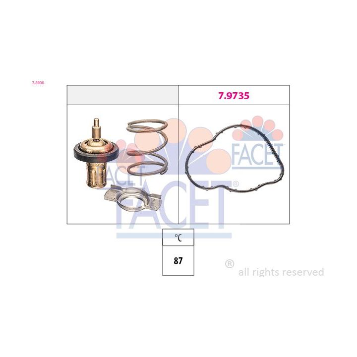 Termostatas, aušinimo skystis FACET 7.8930