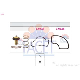 Termostatas, aušinimo skystis FACET 7.8986
