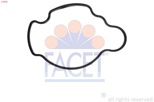 Tarpiklis, termostato korpusas FACET 7.9750