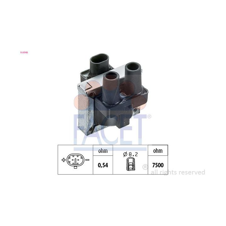 Ritė, uždegimas FACET 9.6046