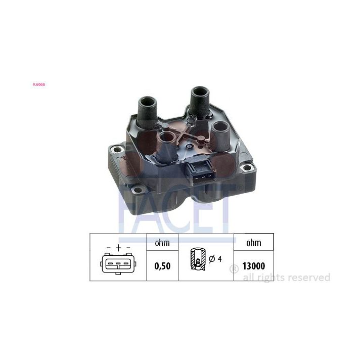 Ritė, uždegimas FACET 9.6068