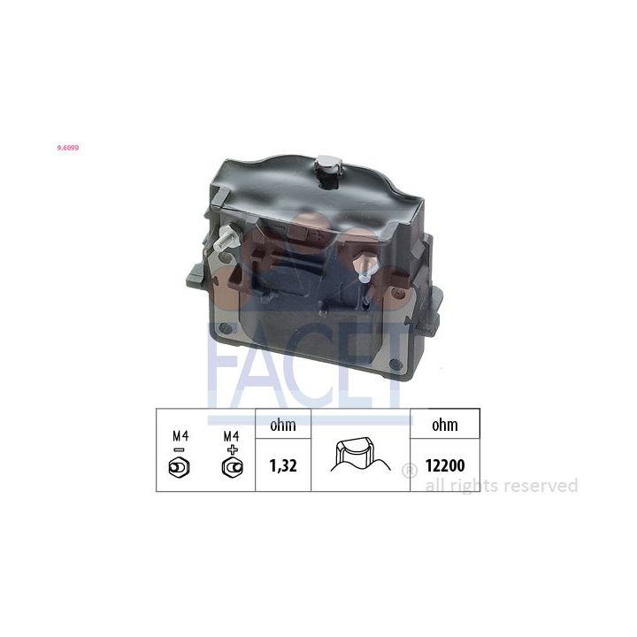 Ritė, uždegimas FACET 9.6099