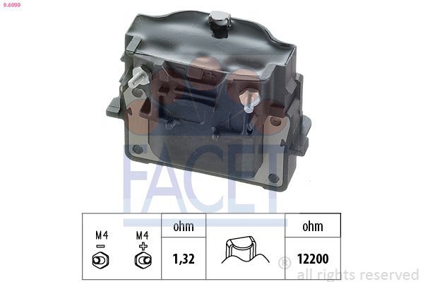 Ritė, uždegimas FACET 9.6099