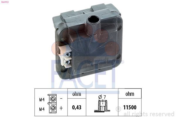 Ritė, uždegimas FACET 9.6113