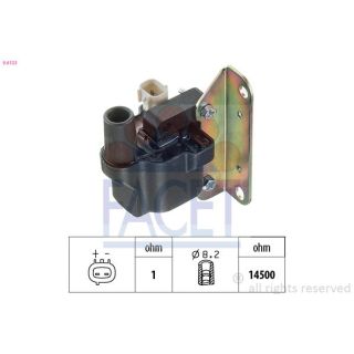 Ritė, uždegimas FACET 9.6133