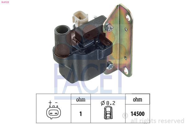 Ritė, uždegimas FACET 9.6133