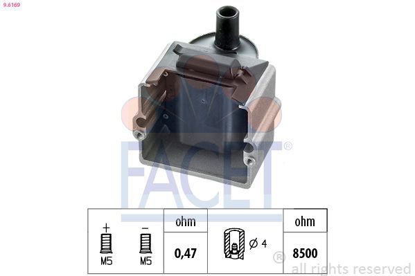 Ritė, uždegimas FACET 9.6169