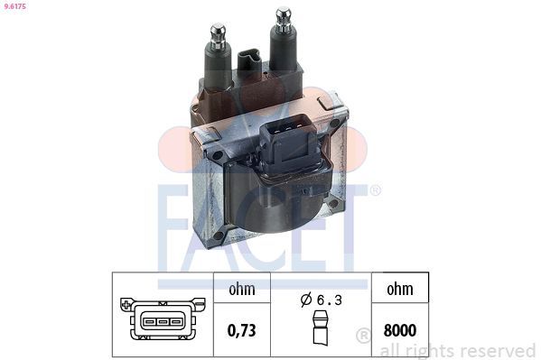 Ritė, uždegimas FACET 9.6175