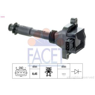 Ritė, uždegimas FACET 9.6214