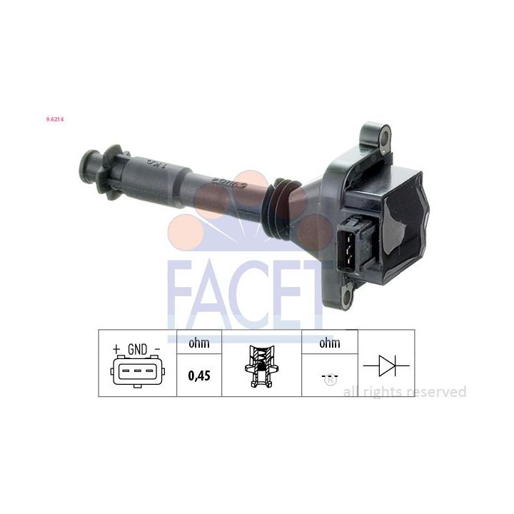 Ritė, uždegimas FACET 9.6214