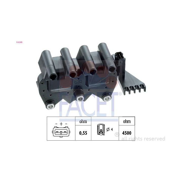 Ritė, uždegimas FACET 9.6245