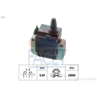 Ritė, uždegimas FACET 9.6247