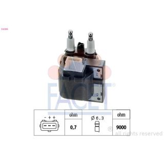 Ritė, uždegimas FACET 9.6256