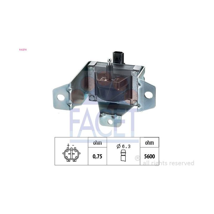 Ritė, uždegimas FACET 9.6274