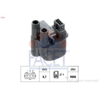 Ritė, uždegimas FACET 9.6276