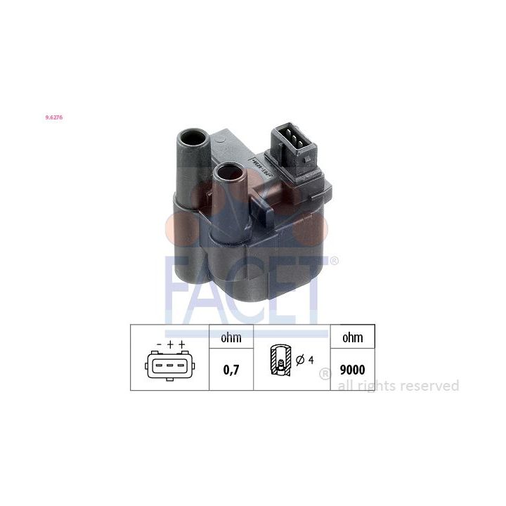 Ritė, uždegimas FACET 9.6276