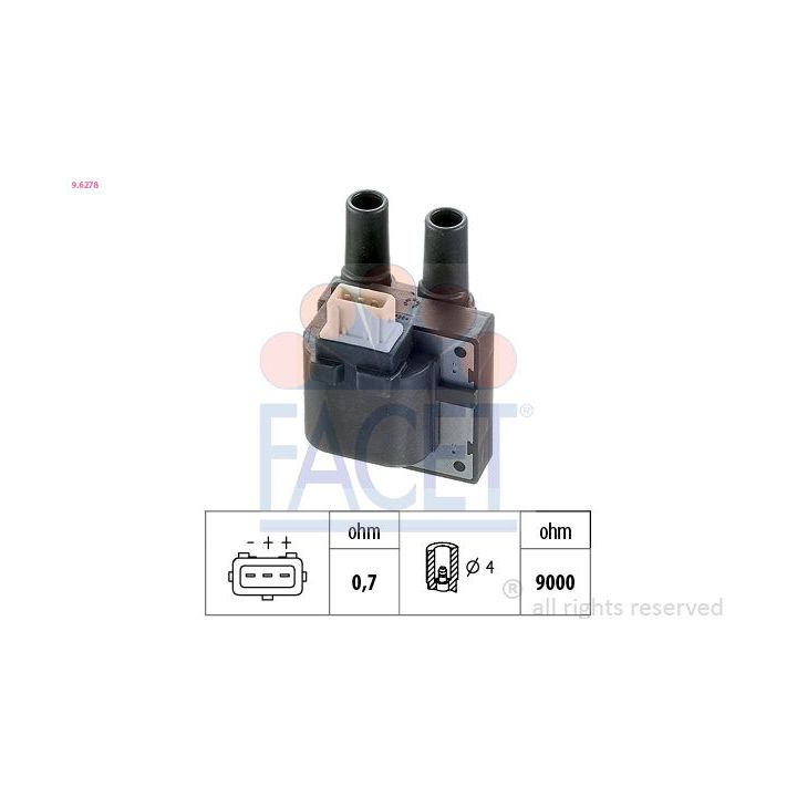 Ritė, uždegimas FACET 9.6278