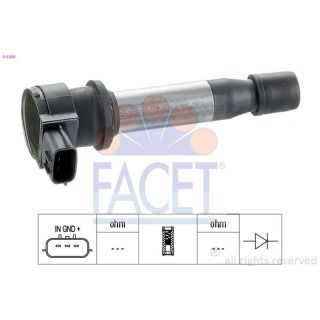 Ritė, uždegimas FACET 9.6284