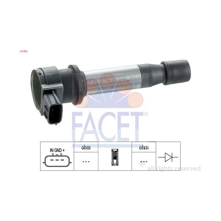 Ritė, uždegimas FACET 9.6284