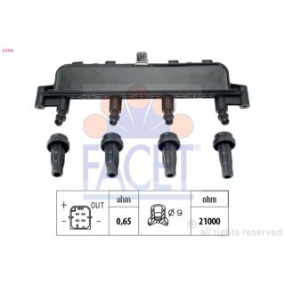 Ritė, uždegimas FACET 9.6305