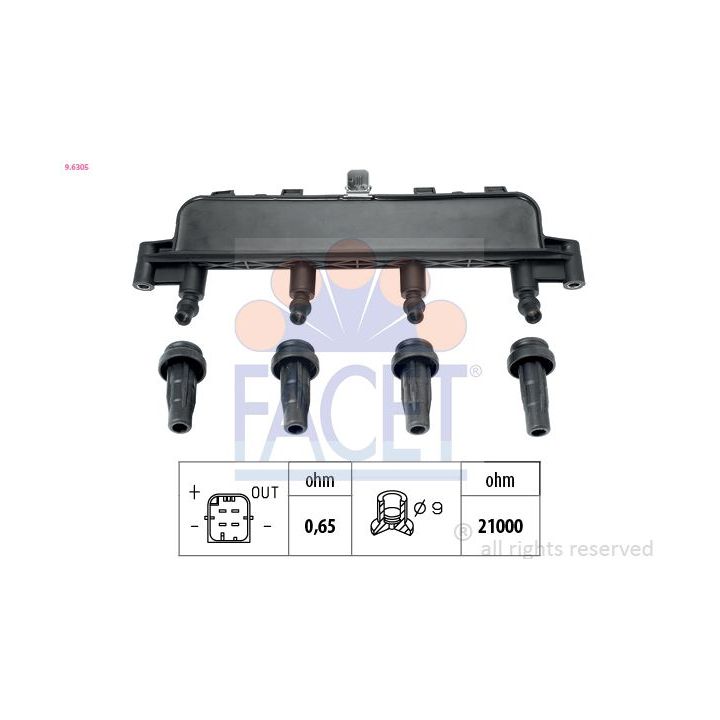 Ritė, uždegimas FACET 9.6305