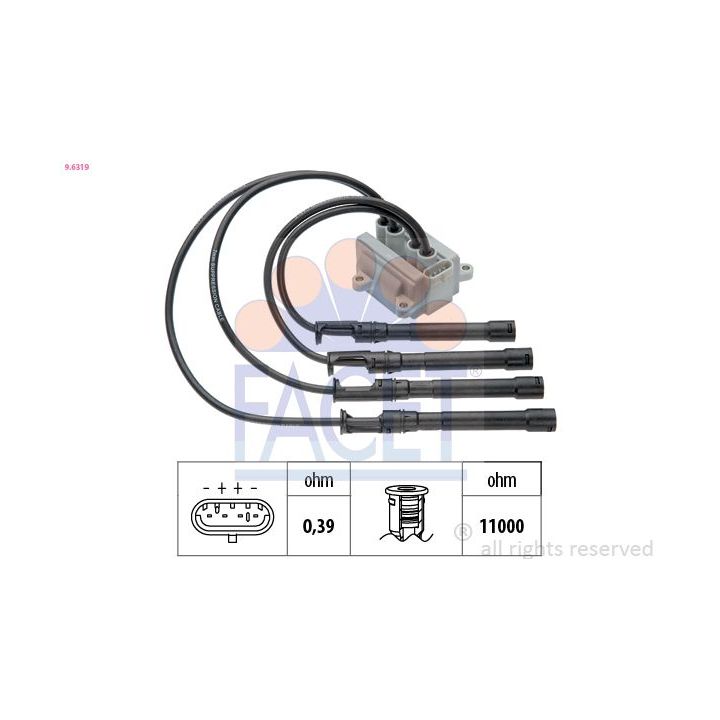 Ritė, uždegimas FACET 9.6319