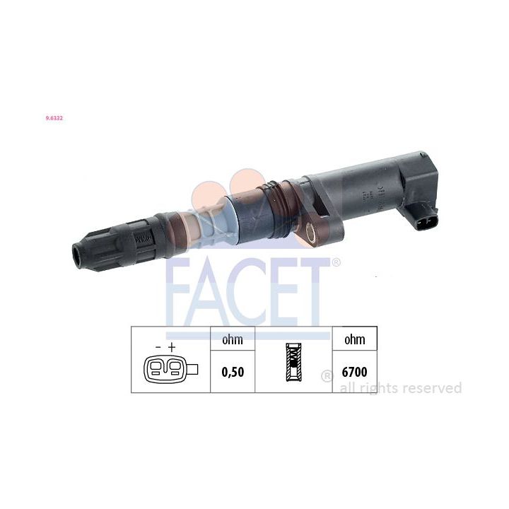 Ritė, uždegimas FACET 9.6332