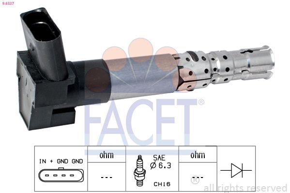 Ritė, uždegimas FACET 9.6337
