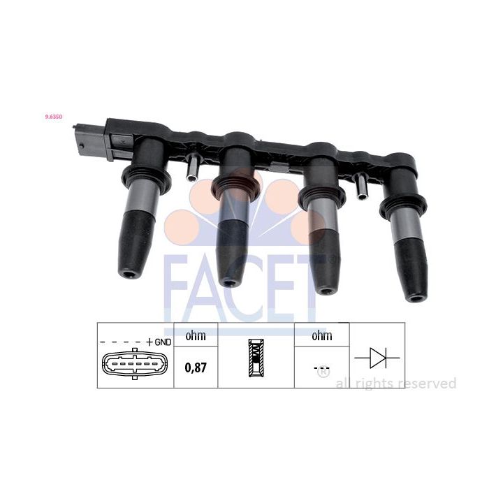 Ritė, uždegimas FACET 9.6350