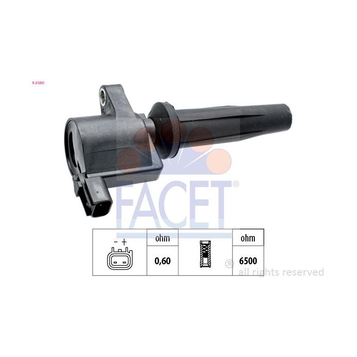 Ritė, uždegimas FACET 9.6380