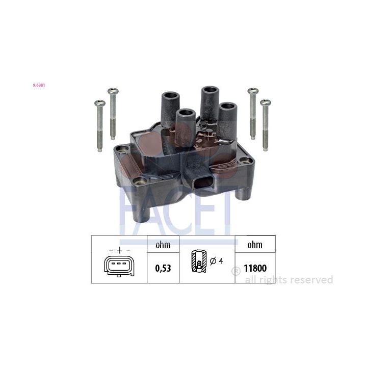 Ritė, uždegimas FACET 9.6381