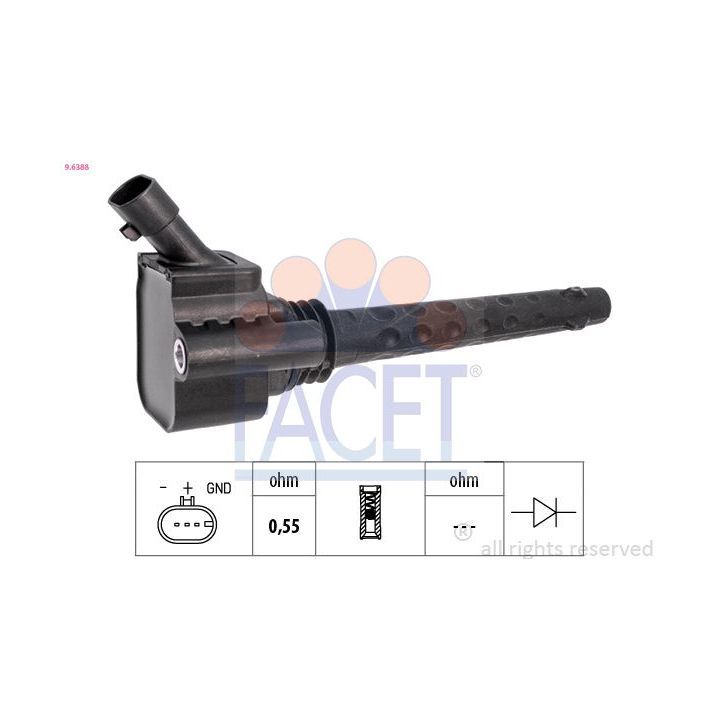 Ritė, uždegimas FACET 9.6388