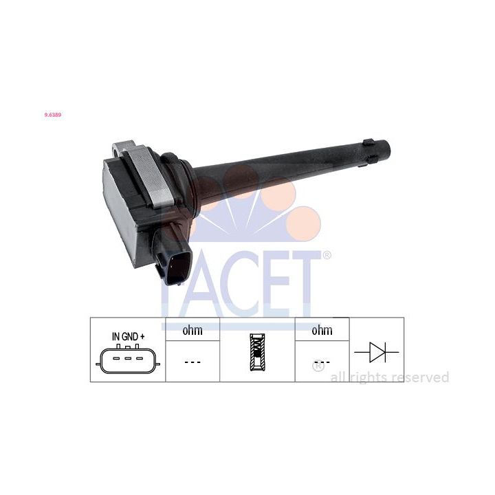 Ritė, uždegimas FACET 9.6389