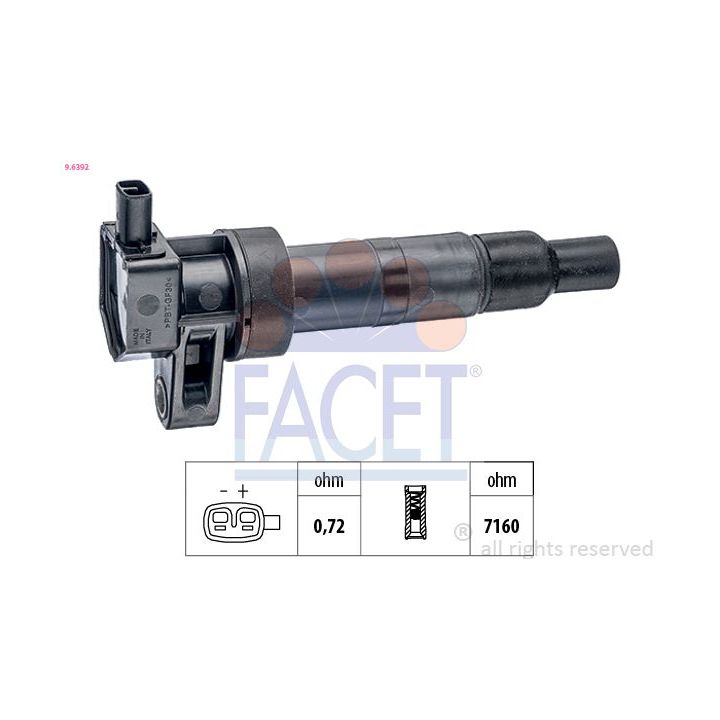 Ritė, uždegimas FACET 9.6392